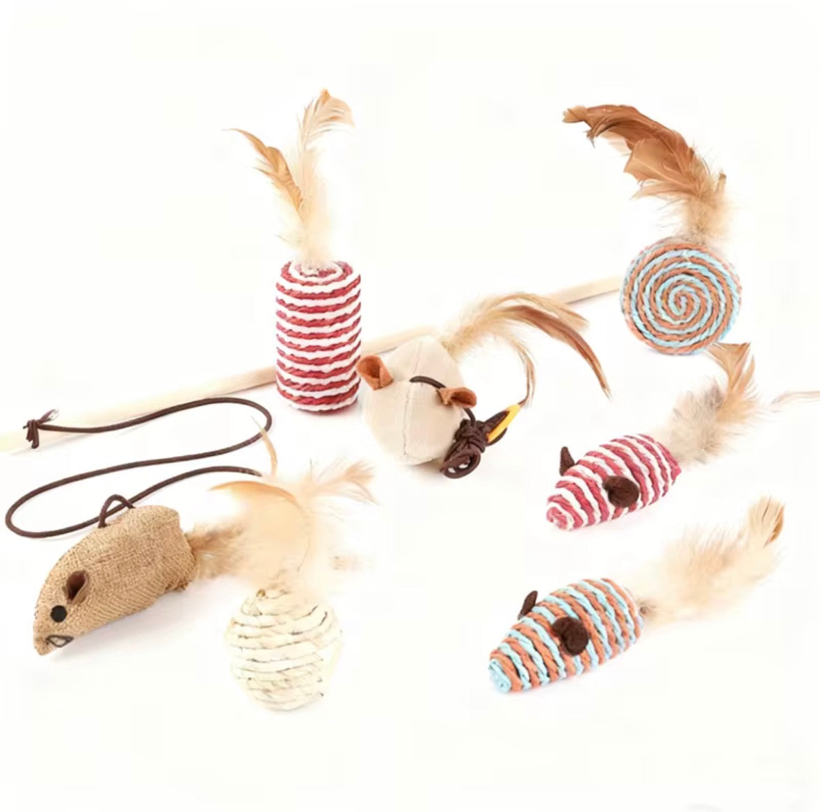 House Lion Adventure Set