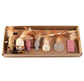 House Lion Adventure Set